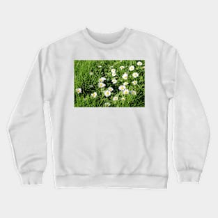 Lawn with Daisies Crewneck Sweatshirt